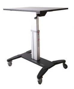 Startech.Com 23.62" D, 31.5" W, 45.28 in H, Black & Silver