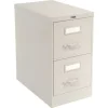 Gec Global‚Ñ¢ Vertical File Letter Size 2 Drawer 25"D, Light Gray