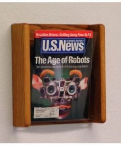 Wooden Mallet 1 Pocket Acrylic & Oak Wall Display - Medium Oak