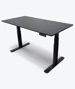 Luxor 60" 3-Stage Dual-Motor Electric Stand Up Desk