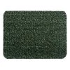 Grassworx DOOR MAT GRN ASTR 18X24""