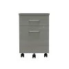Linea Italia Metal Mobile File Cabinet, 17”W x 20”D x 24”H, Ash Laminate