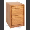 Contemporary 2 Drawer File Cabinet in Oak