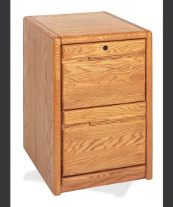 Contemporary 2 Drawer File Cabinet in Oak
