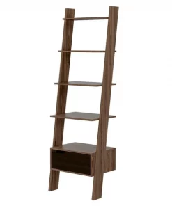 Sego Lily Aster Leaning Shelf in Rich Oak