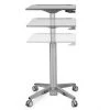 Ergotron 24-547-003 Learnfit Adjustable Standing Desk