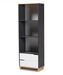 Baxton Studio Reed Mid-Century Multicolor 2-Drawer Wood Living Room Bookshelf