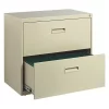 Hirsh 30" W 2 Drawer File Cabinet, Putty, Letter