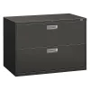 Hon 42" W 2 Drawer File Cabinet, Charcoal, A4/Legal/Letter